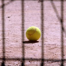 tennis-3619133_640